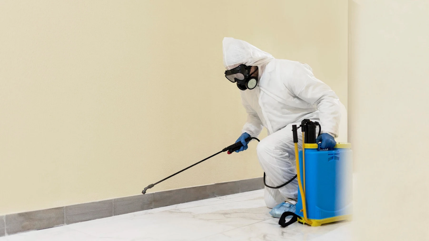 Technician treating an affected wall.