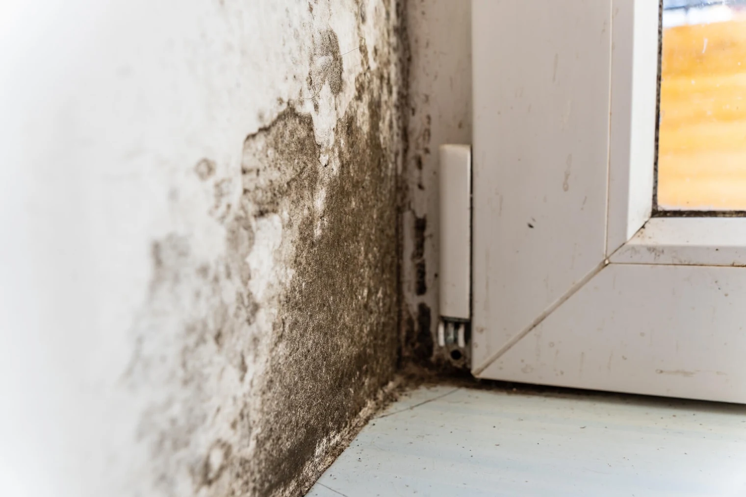 Mold growth beside a window frame.