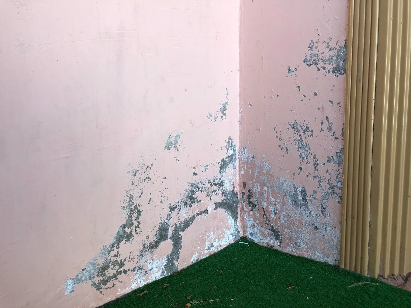 Moisture-damaged wall with peeling paint.